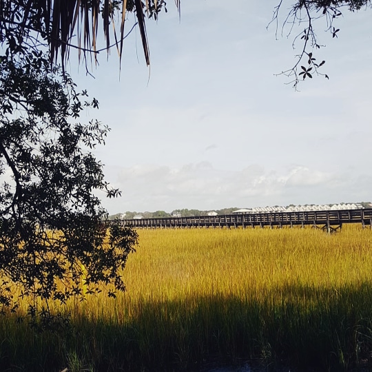 Folly Beach City Hall photo 5