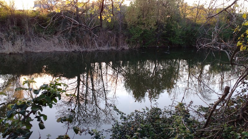 Club Campo Madrid Cuadra