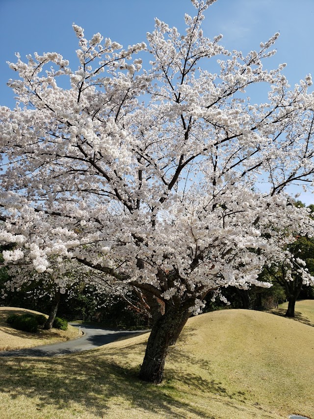 Kansai Airport Golf Club - Photo 6