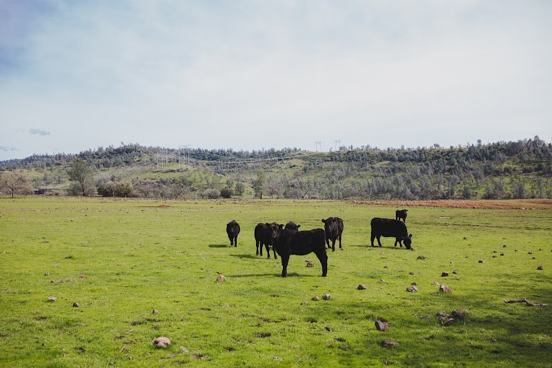 Rock ‘N’ Oak Ranch