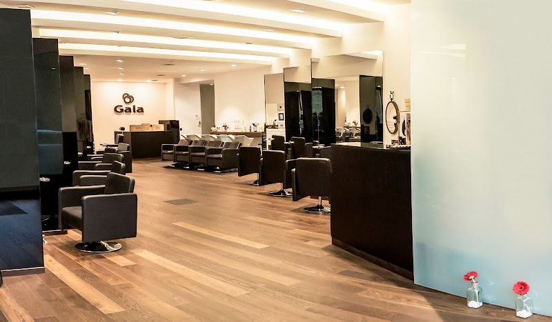 Peluquería Gala Group photo 1