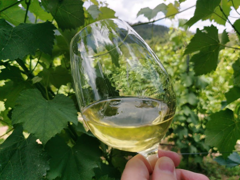 Adega Eloi Lorenzo photo 1