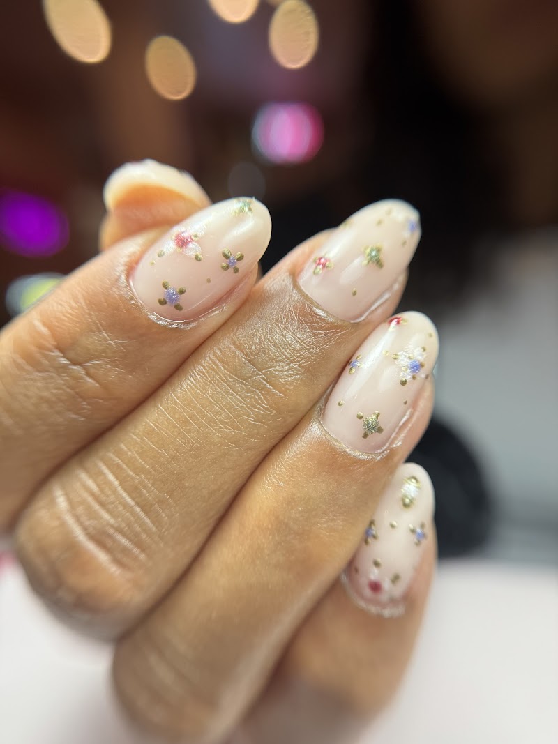 She She Nail & Lash Studio