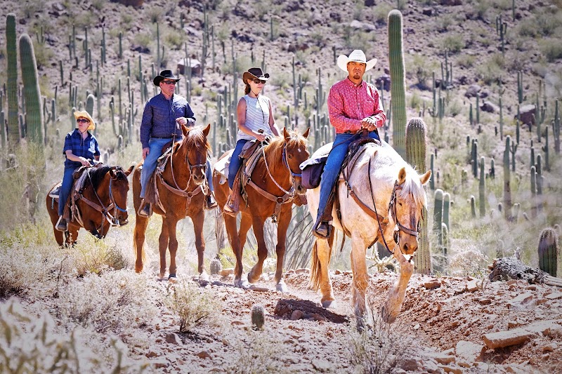 White Stallion Ranch - Photo 3