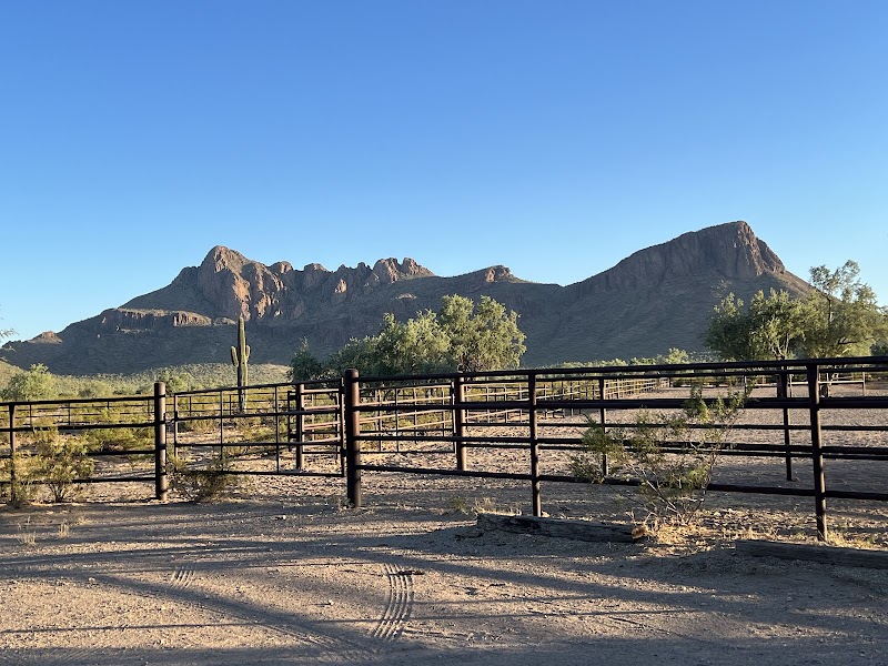 White Stallion Ranch - Photo 4