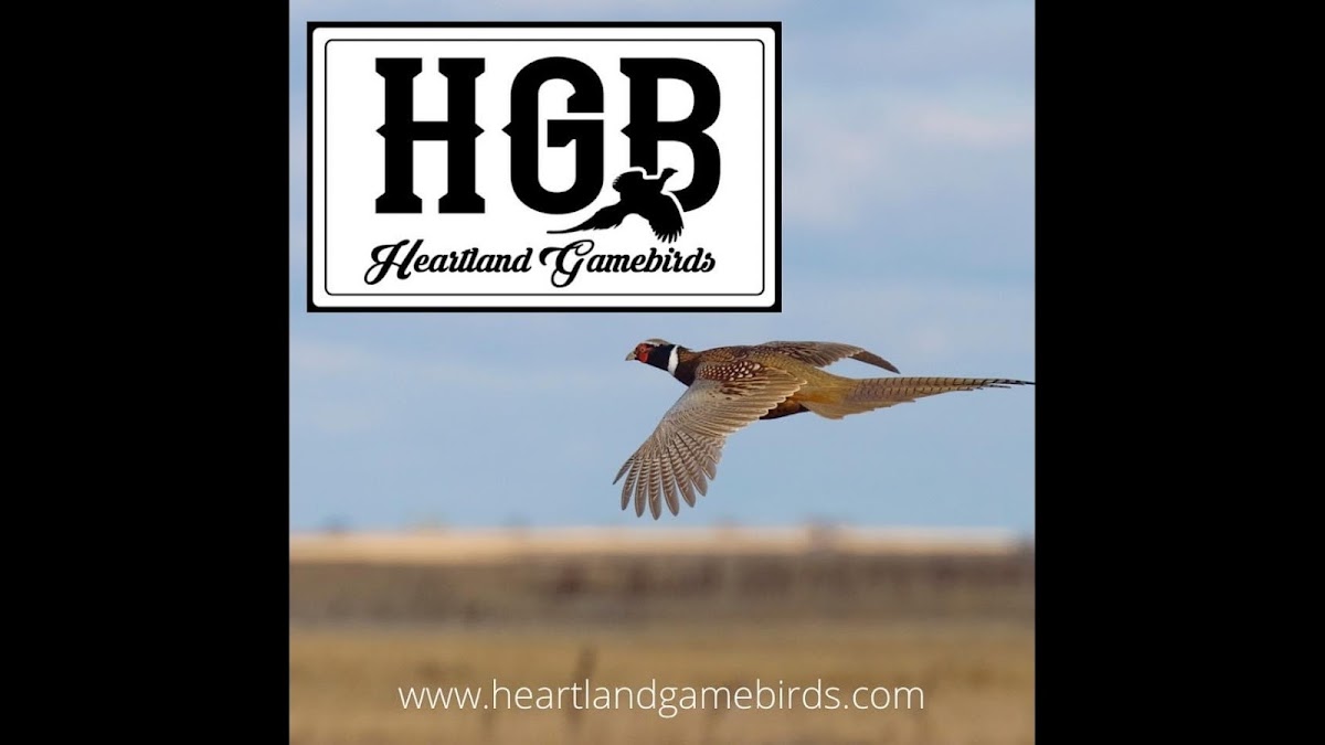 Heartland Gamebirds