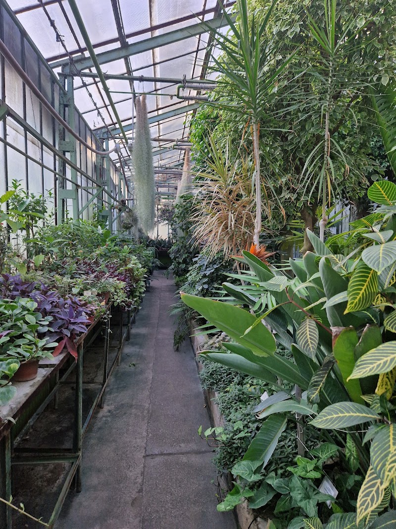 Botanikus kert Debreceni Egyetem Természettudományi Kar