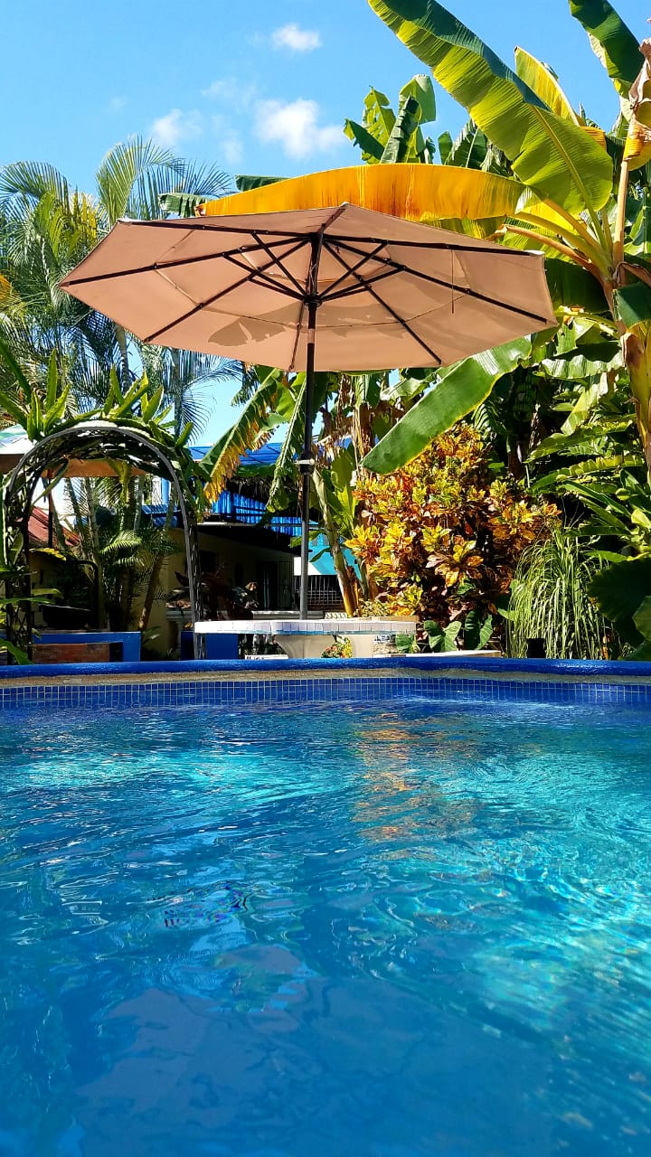 Sana El Jardin Secreto - Imagen 3