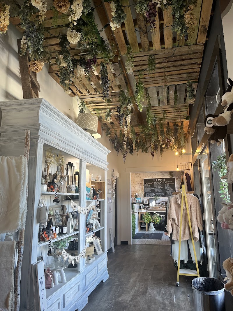 Storm Coffee Co. photo 4