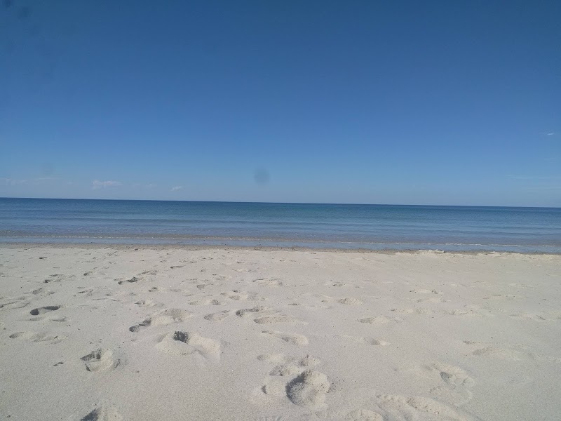 Sandy Neck Beach in Cape Cod