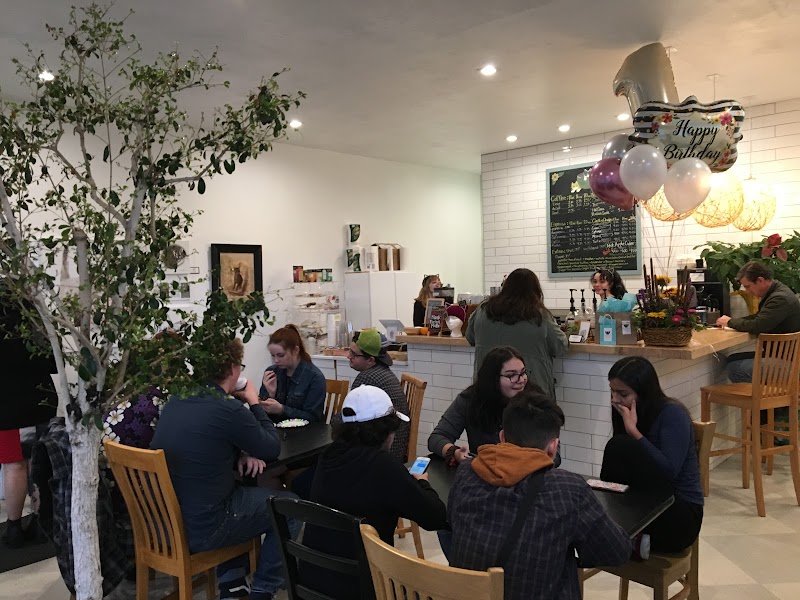 Tinker's Cat Cafe