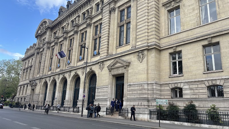 Free Tour Paris - PARIS STEP BY STEP TOURS