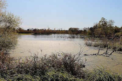 Nicholson-Ford Nature Area