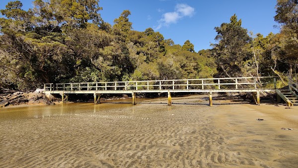 Rakiura Track - Lee Bay 1