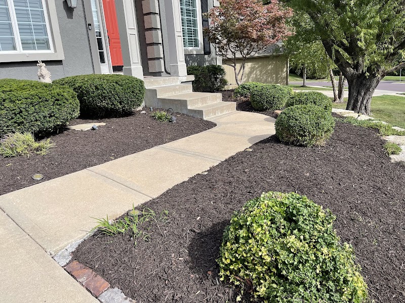 Boresow's Lawn Enforcement