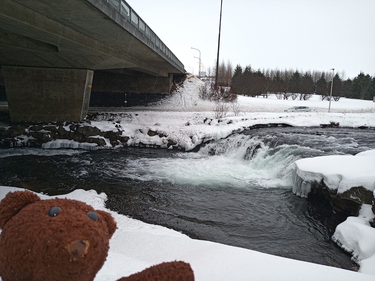 Sjávarfoss