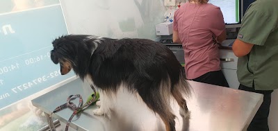 Vet Ido Kan - ד"ר עידו קאן- מרפאה וטרינרית ברחובות