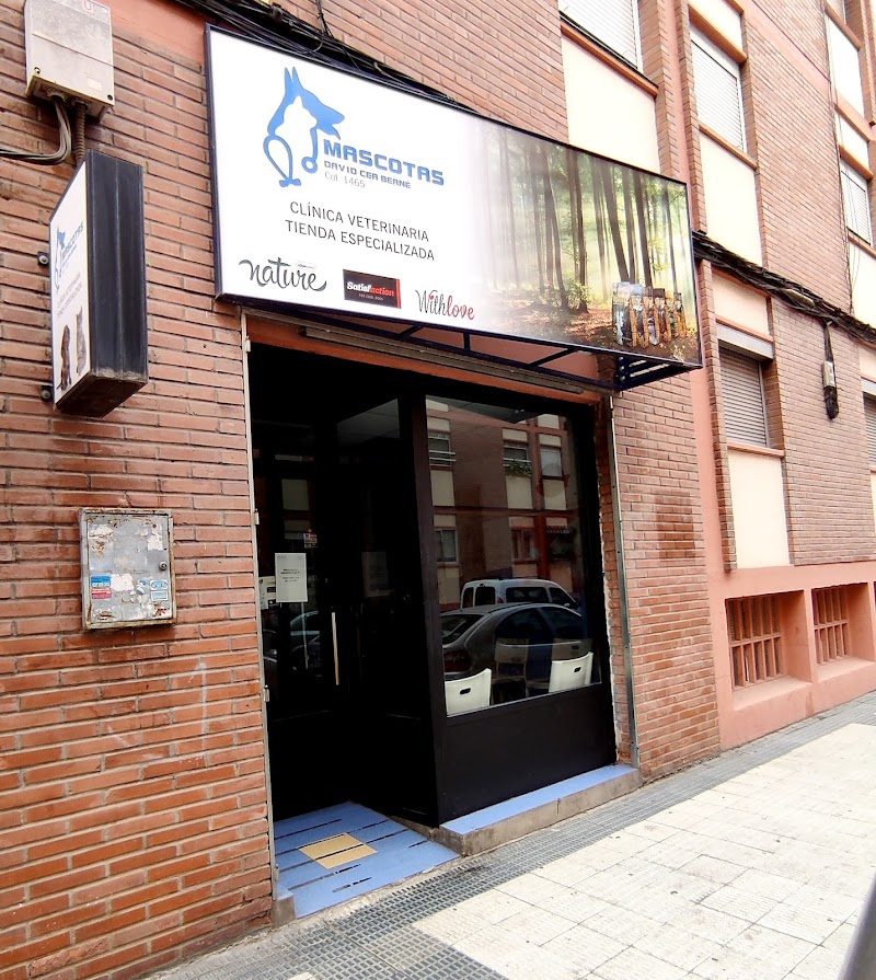 Mascotas David Cea Berne