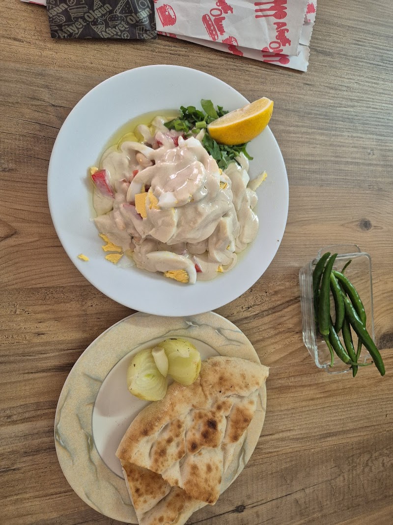 Oz Arabin Yeri photo 3