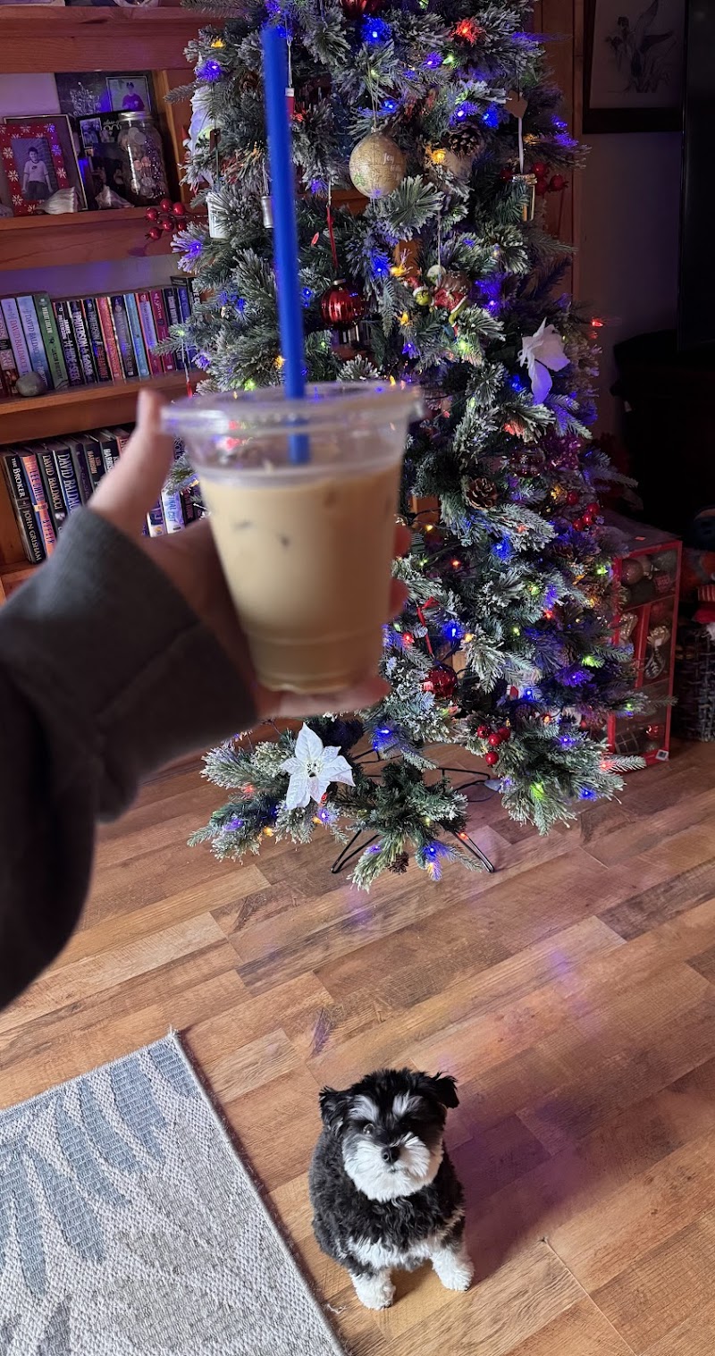 Stone Coffee Co. photo 3