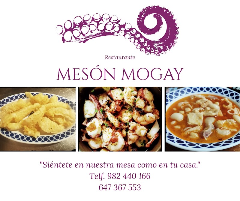 Meson Mogay photo 3