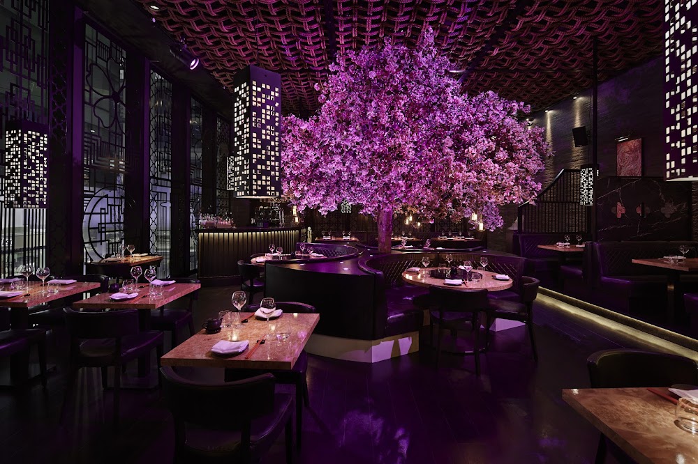 Tattu Manchester fotoğraf 1