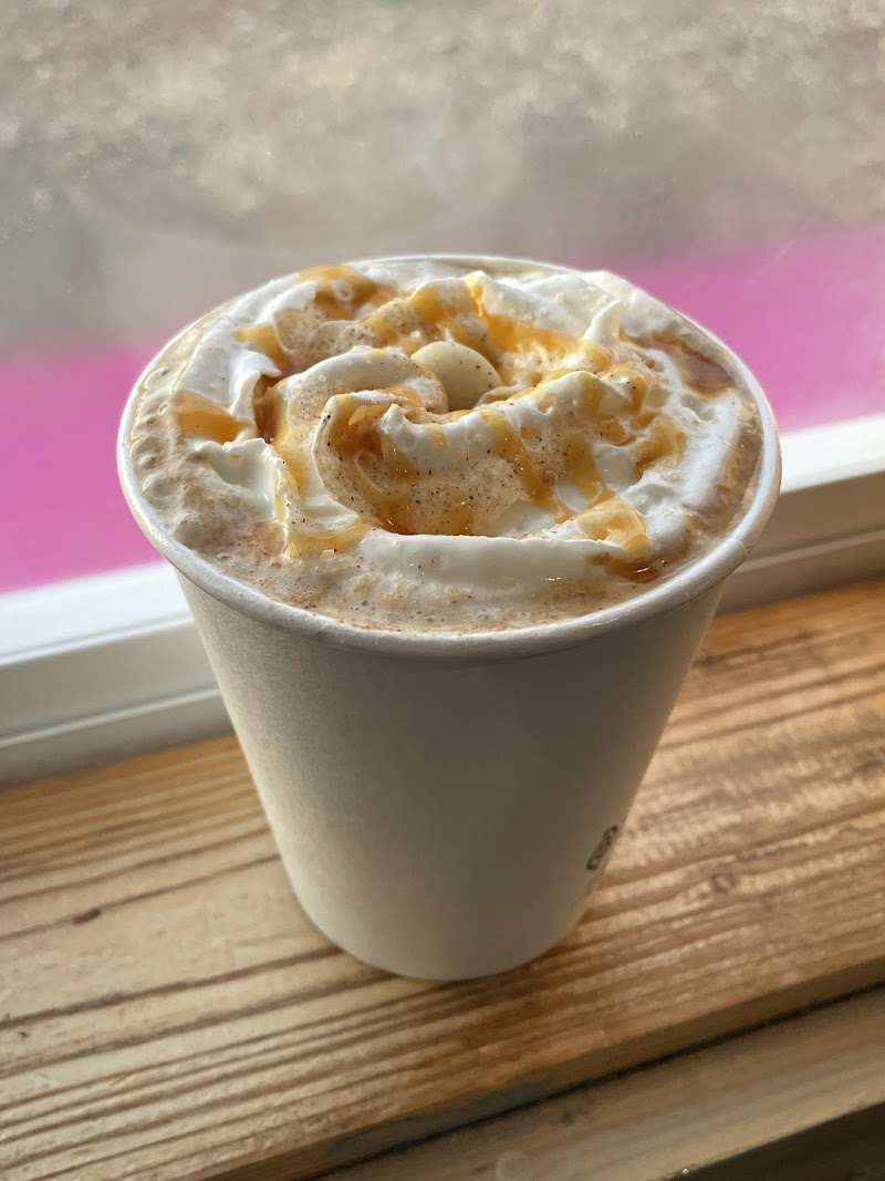 The Icy Camel photo 2