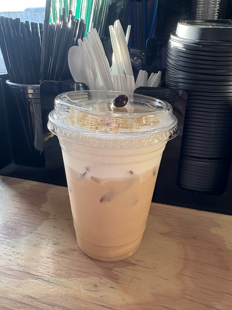 The Icy Camel photo 1