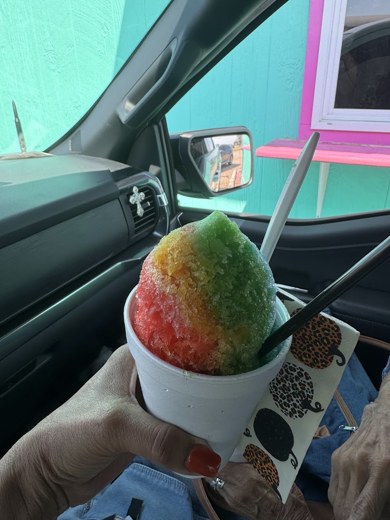 The Icy Camel photo 3