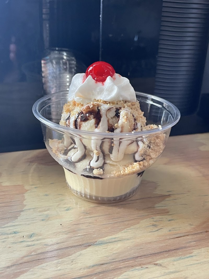 The Icy Camel photo 4