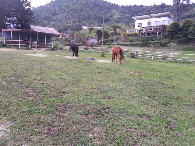 SJK(T) SHUM YIP LEONG photo 2