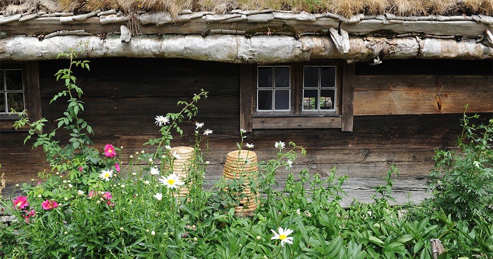 Kulturen fotoğraf 1