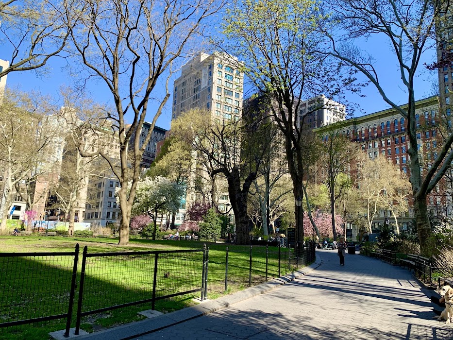 Madison Square Park fotoğraf 1