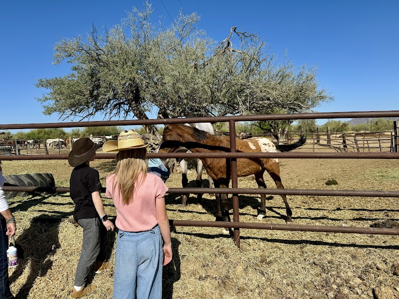 MacDonald's Ranch - Photo 5