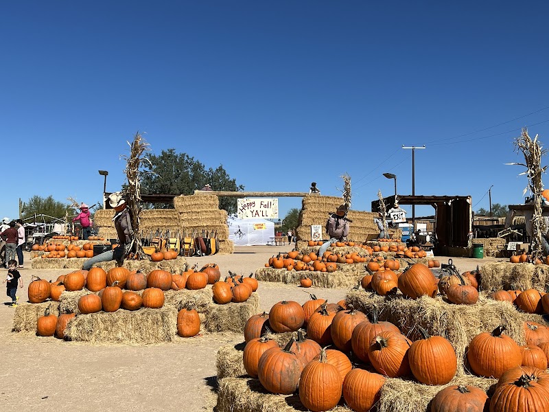 MacDonald's Ranch - Photo 4