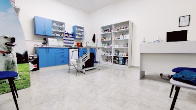 Vet Dogtor Jerusalem