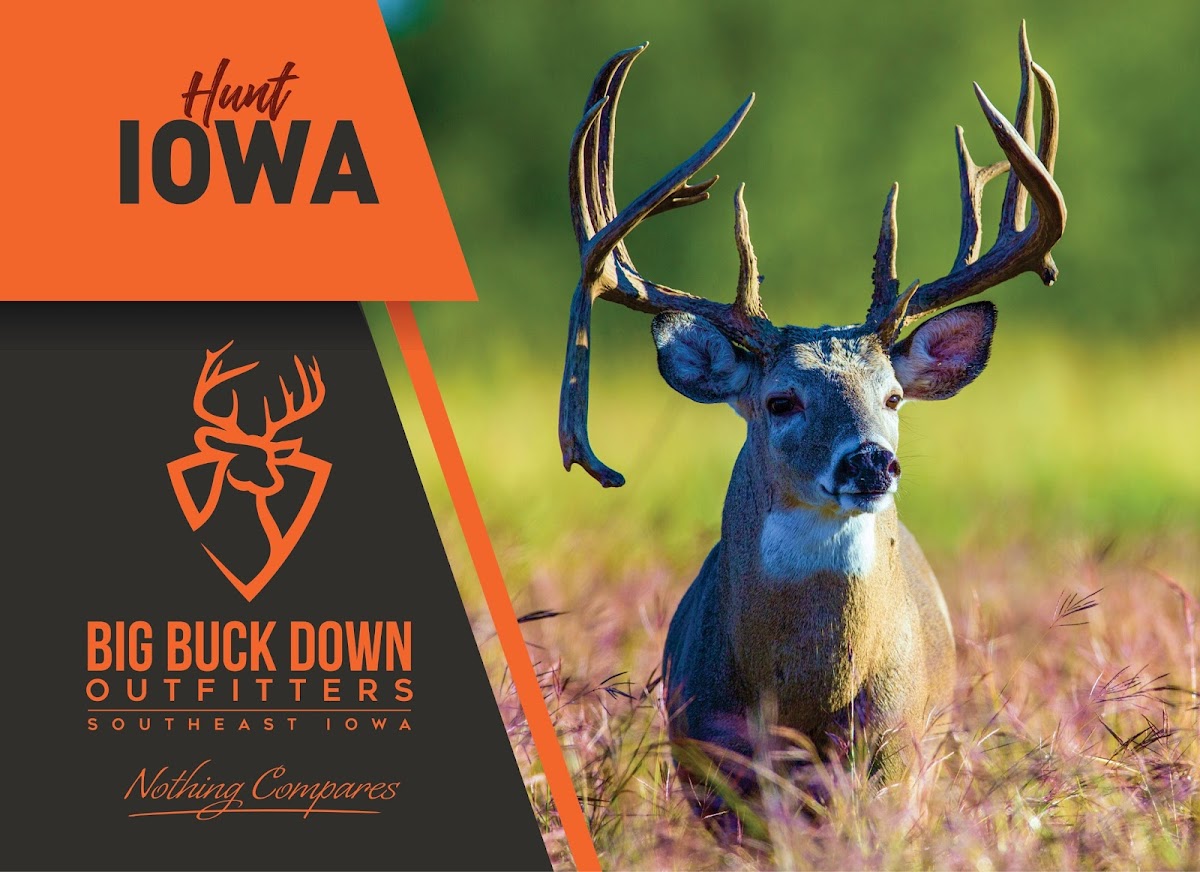 Big Buck Down Outfitters
