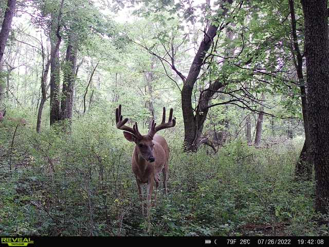 Big Buck Down Outfitters - Photo 2