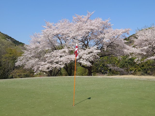 Meilake Hills Country Club - Photo 7