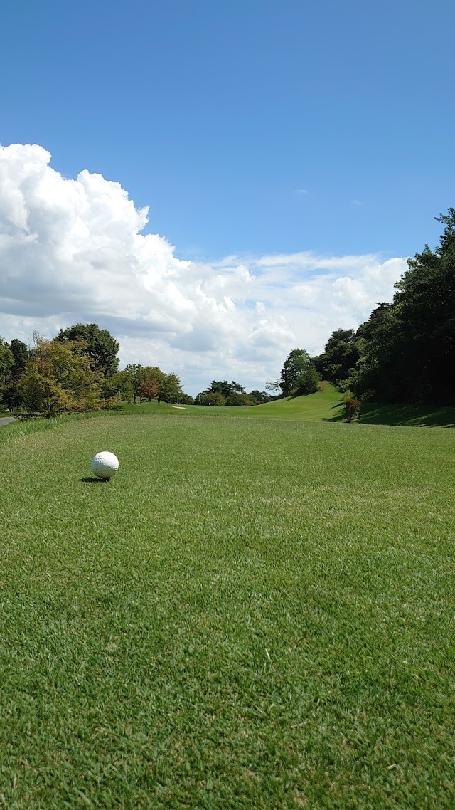 Meilake Hills Country Club - Photo 2