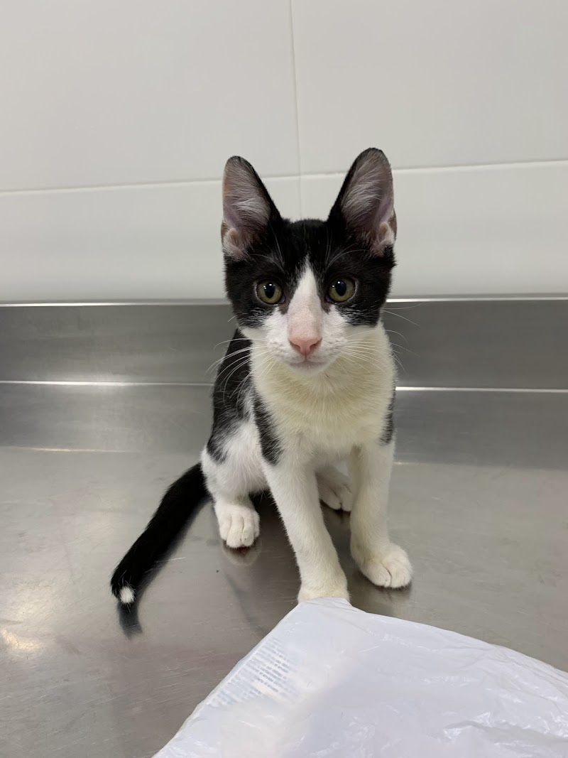 Clínica Veterinaria Supervet