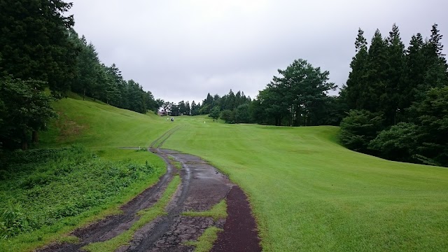Takayama Golf Club - Photo 5