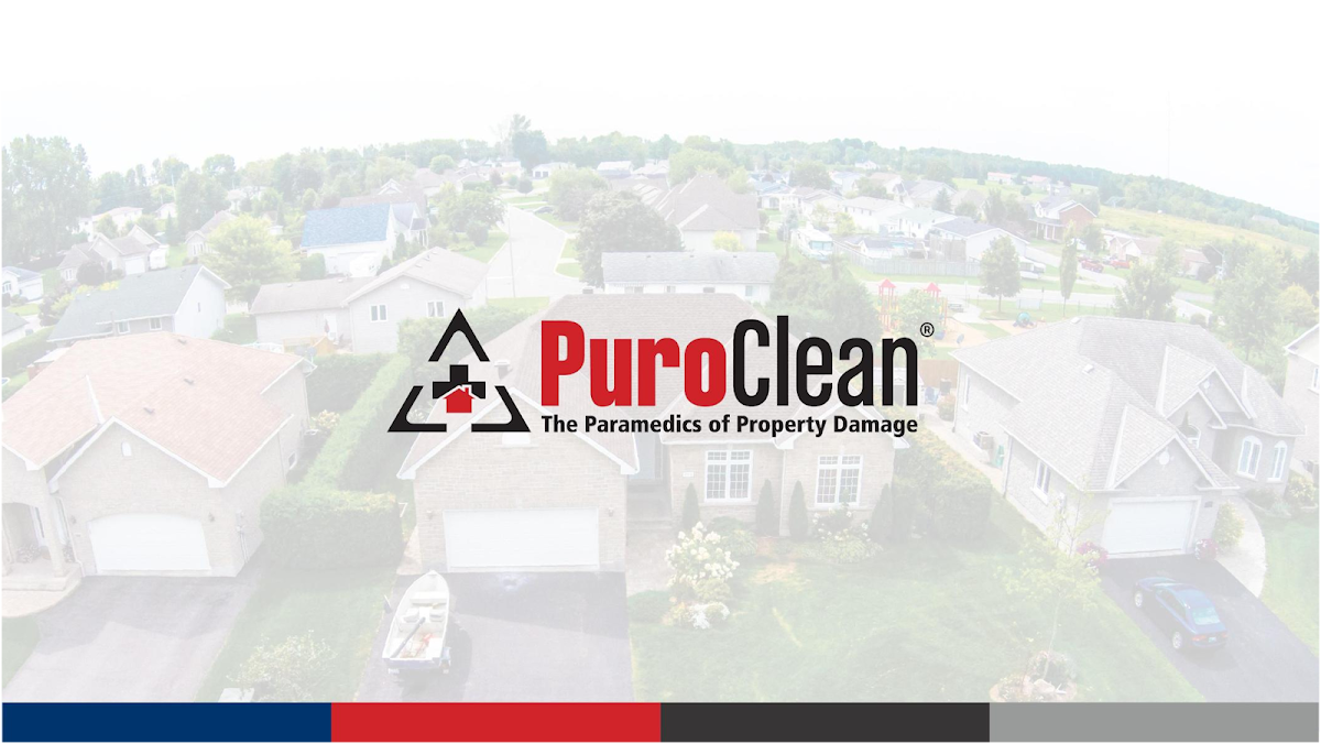 PuroClean Emergency Restoration — photo