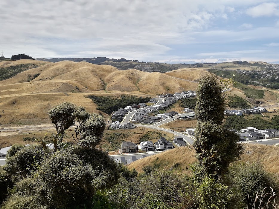 Callender Reserve Churton Park fotoğraf 1