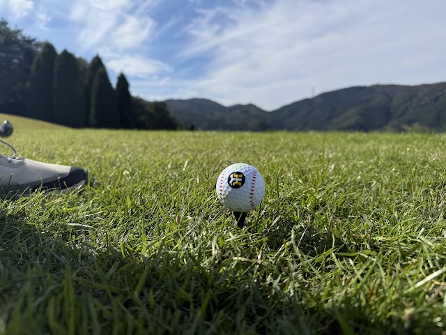Iwakuni Century Golf Club - Photo 10