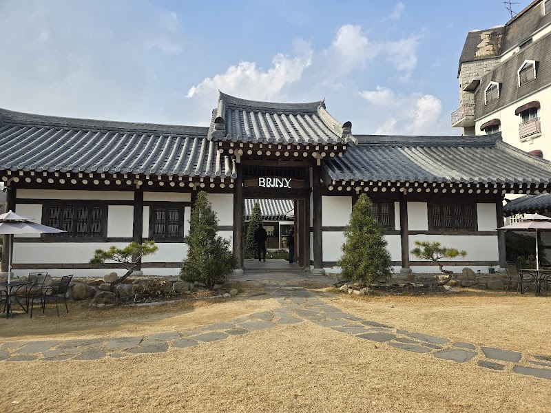 브리니팔공 사진 3