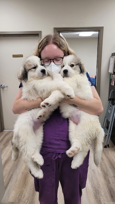 Wolftever Pet Wellness Group | East Hamilton