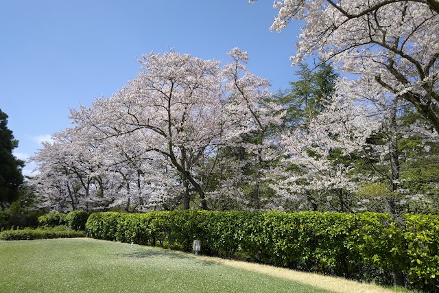 Fusuo Golf Club - Photo 7