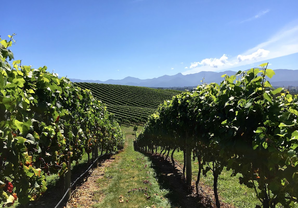 Flaxmore Vineyards