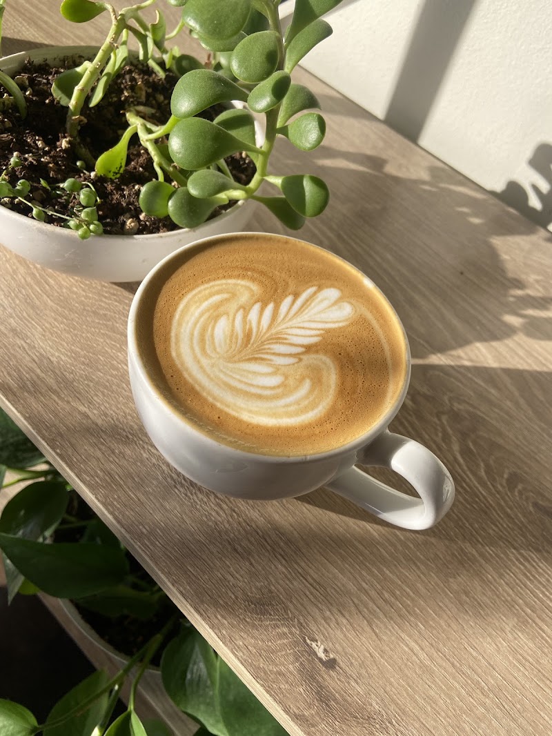 Basecamp Coffee Company photo 4